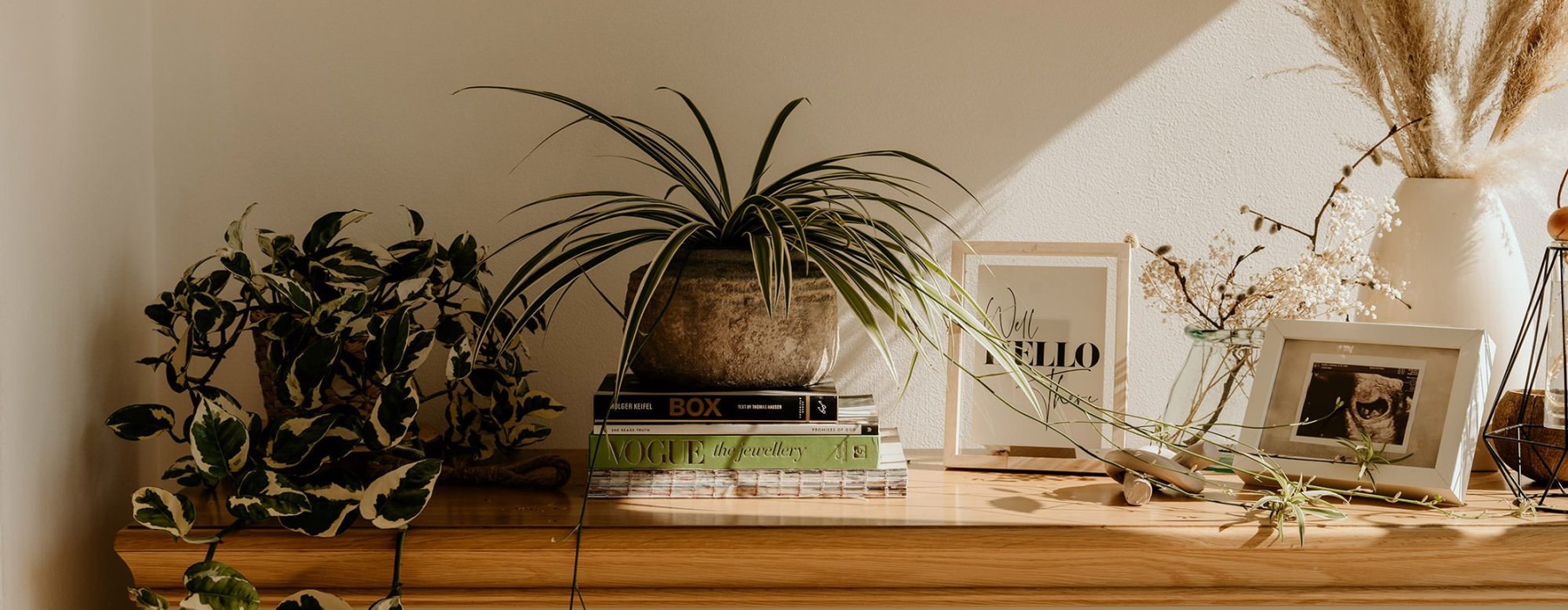 bureau top decorated with potted plants, books and framed pictures